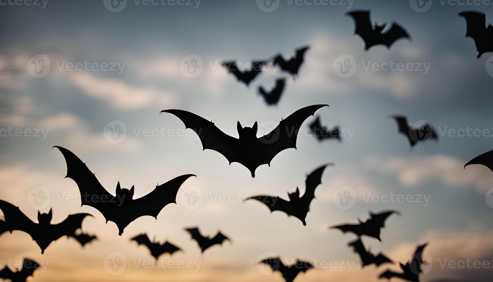 Bats Flying at Dusk photo