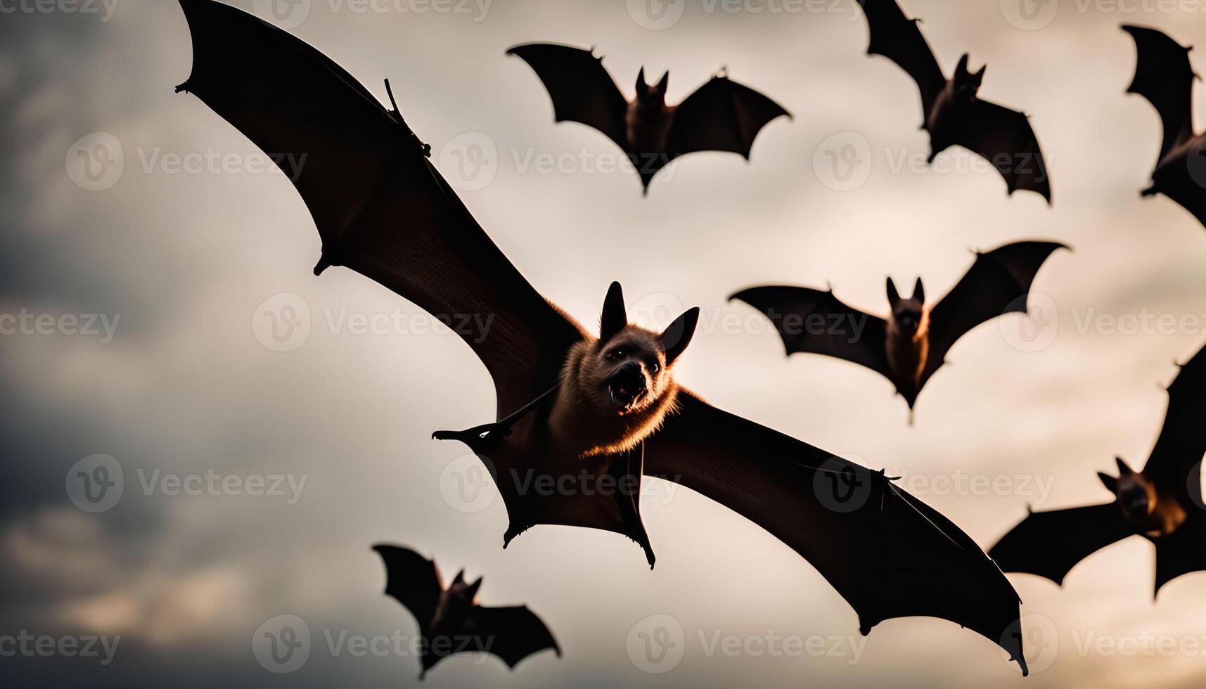 Bats in Flight photo