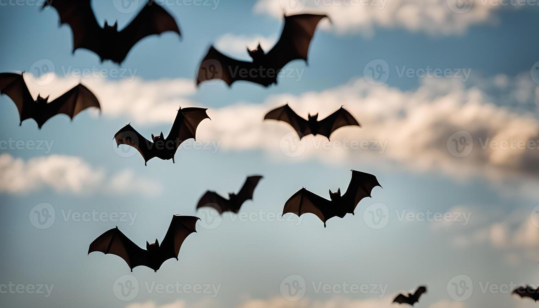 Bats Flying in the Sky photo