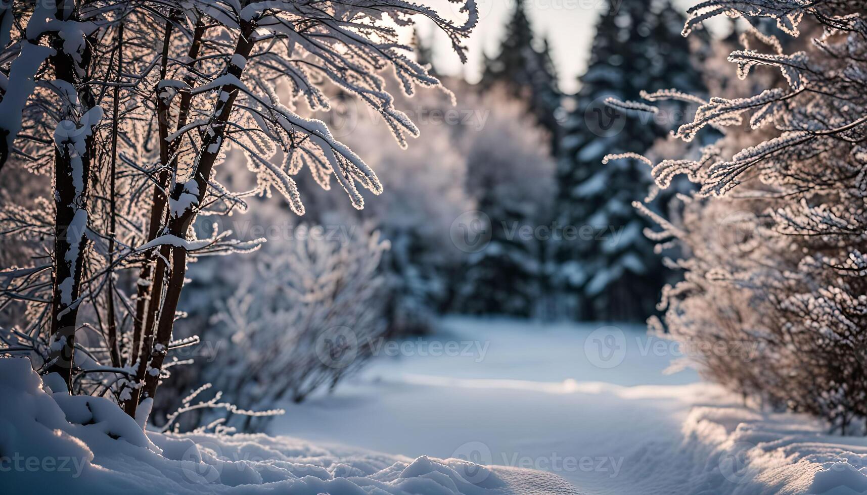Snowy Forest Path photo