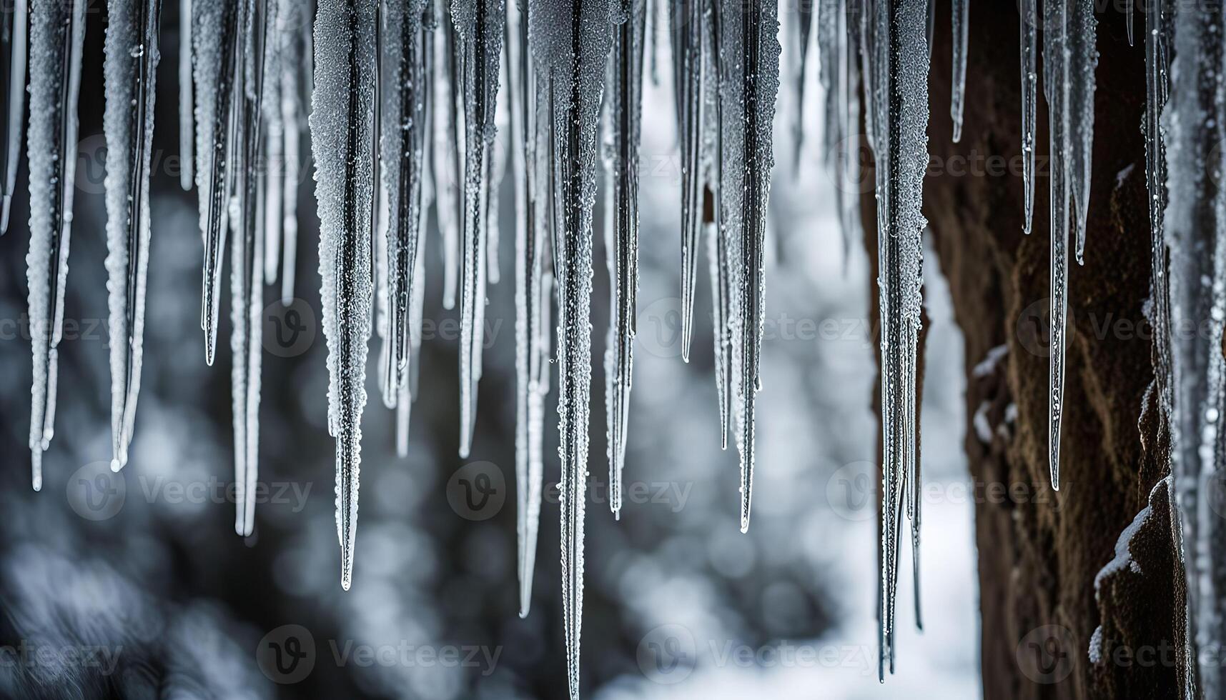 Icicles Hanging From A Tree Branch photo