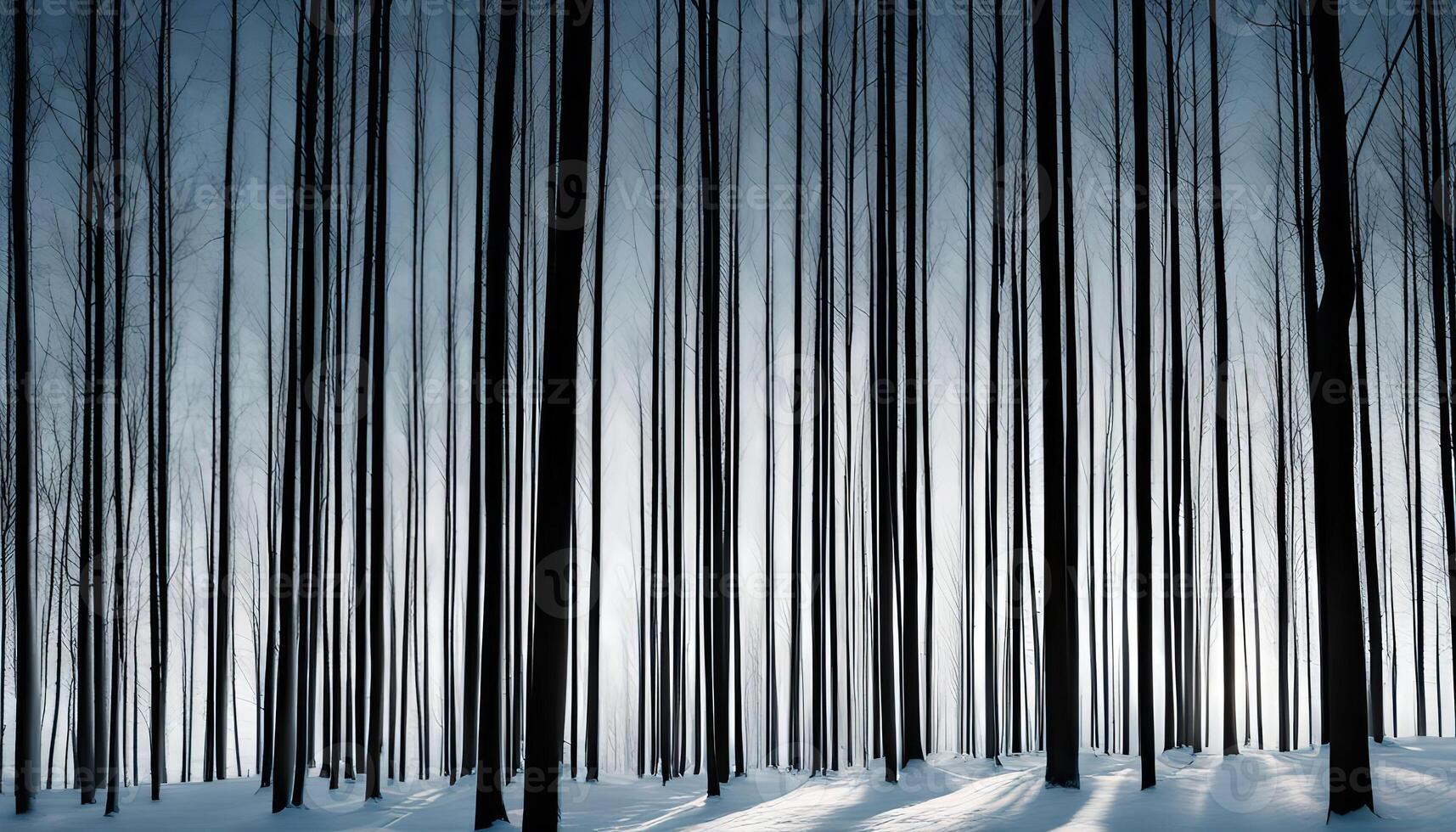 Snowy Forest Silhouette photo