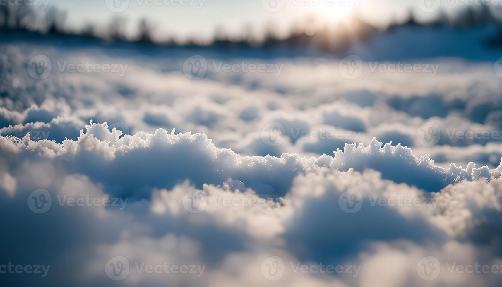 Close-Up of Snow Covered Ground photo