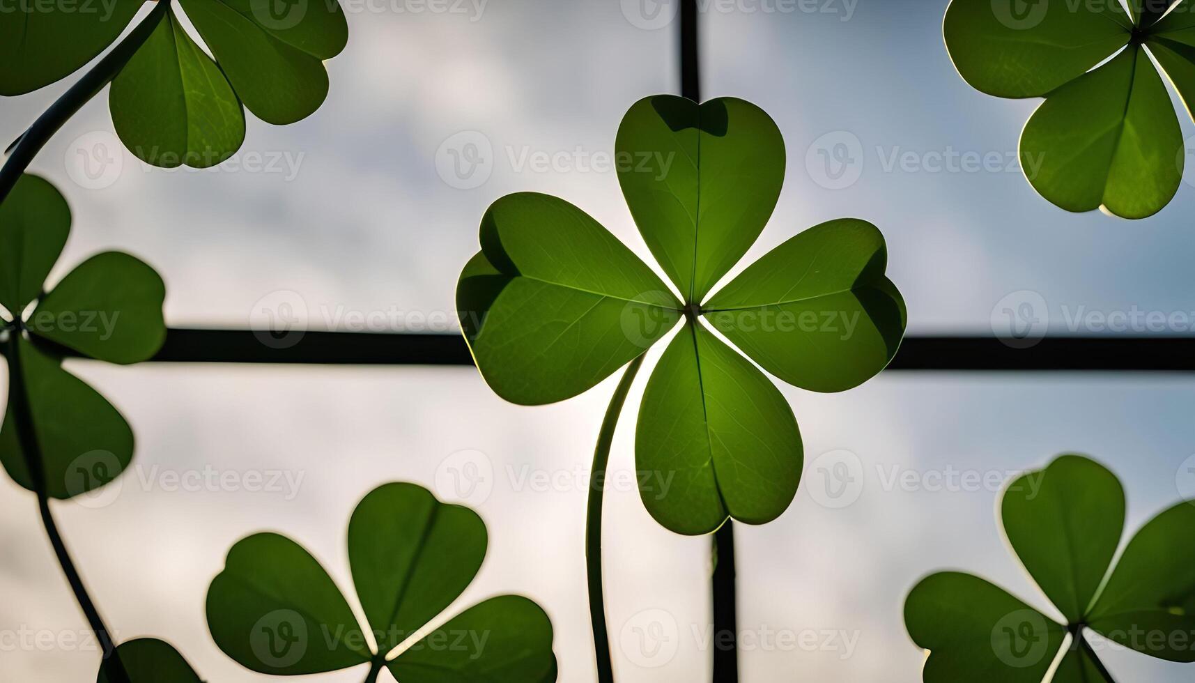 Four Leaf Clover Against A Cloudy Sky photo