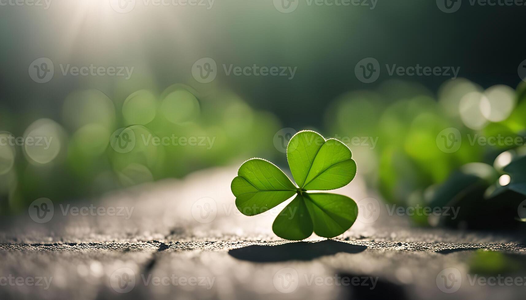 A Single Clover Leaf photo