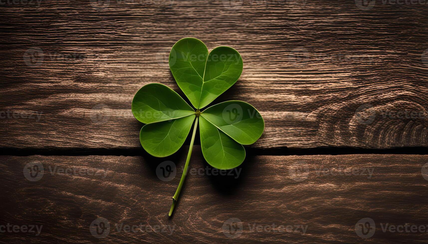 Shamrock on a Wooden Background photo