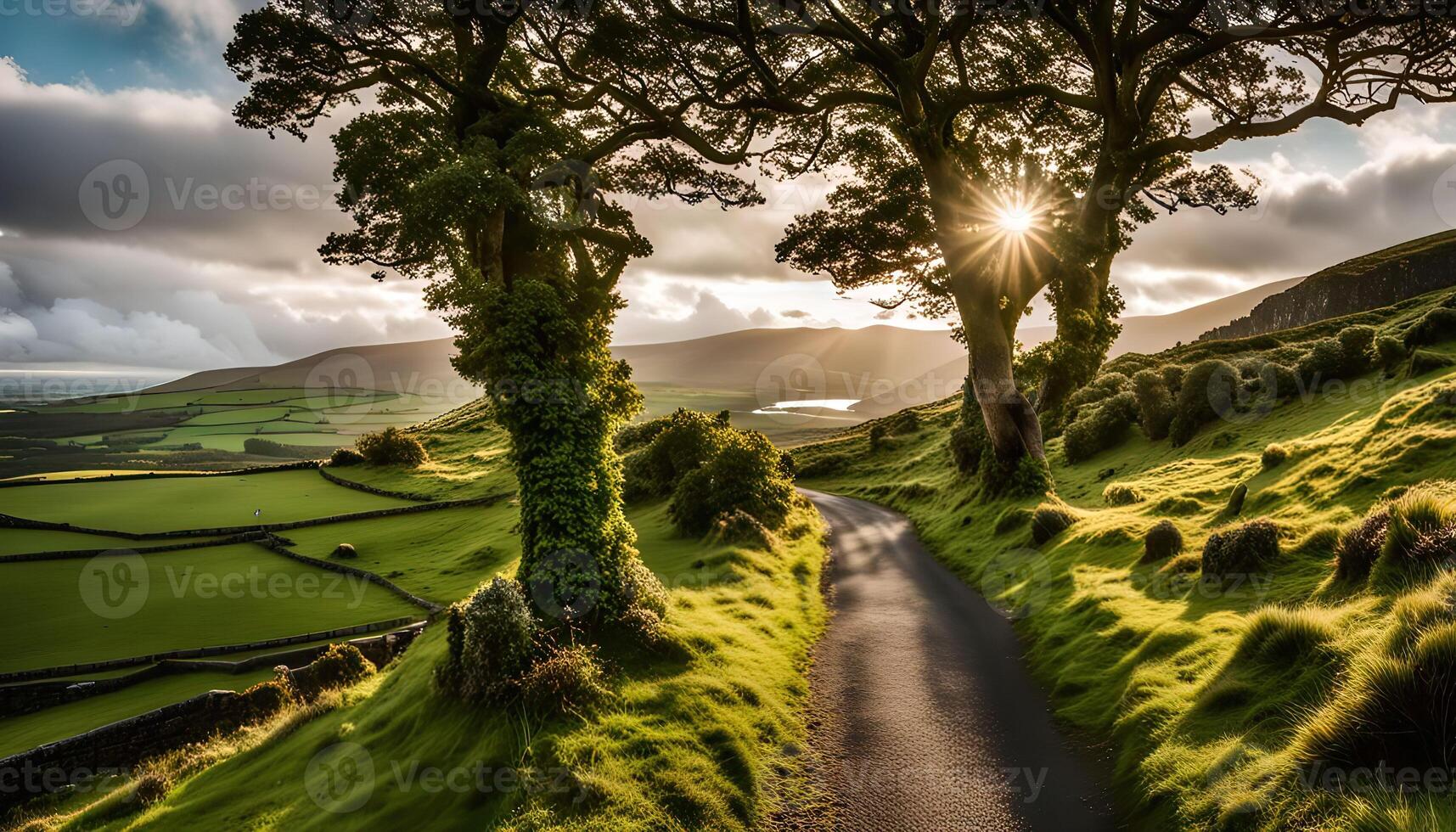 Sunlit Country Road Through Rolling Green Hills photo