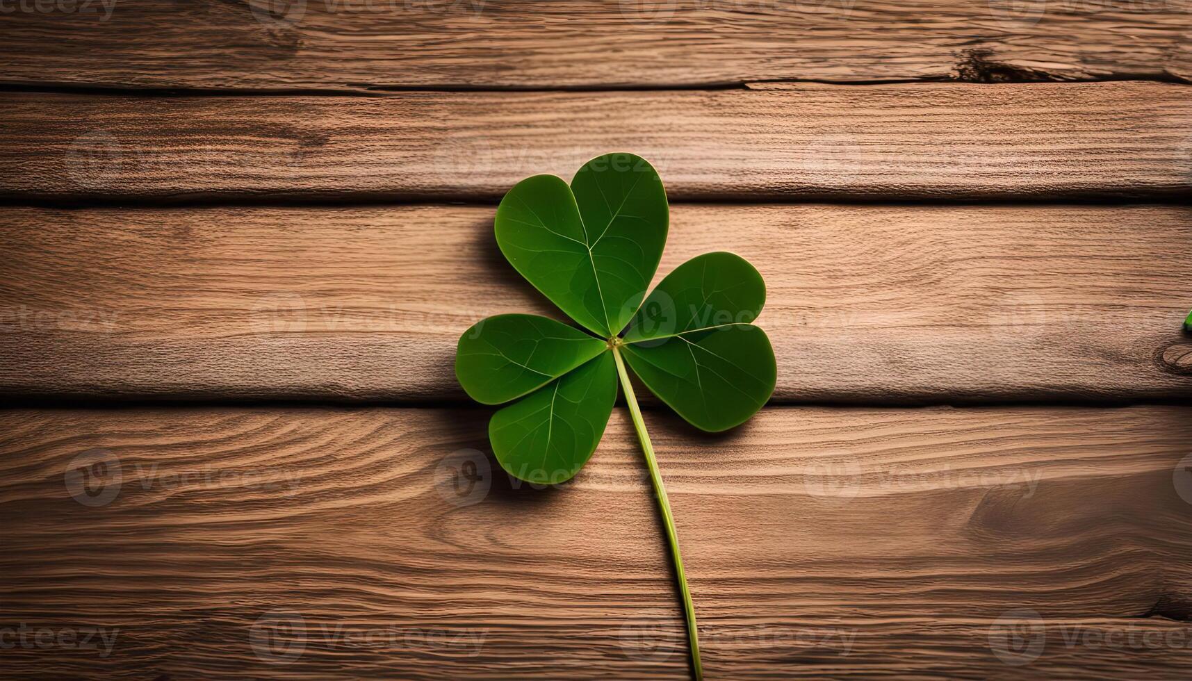 Four Leaf Clover on Wooden Background photo