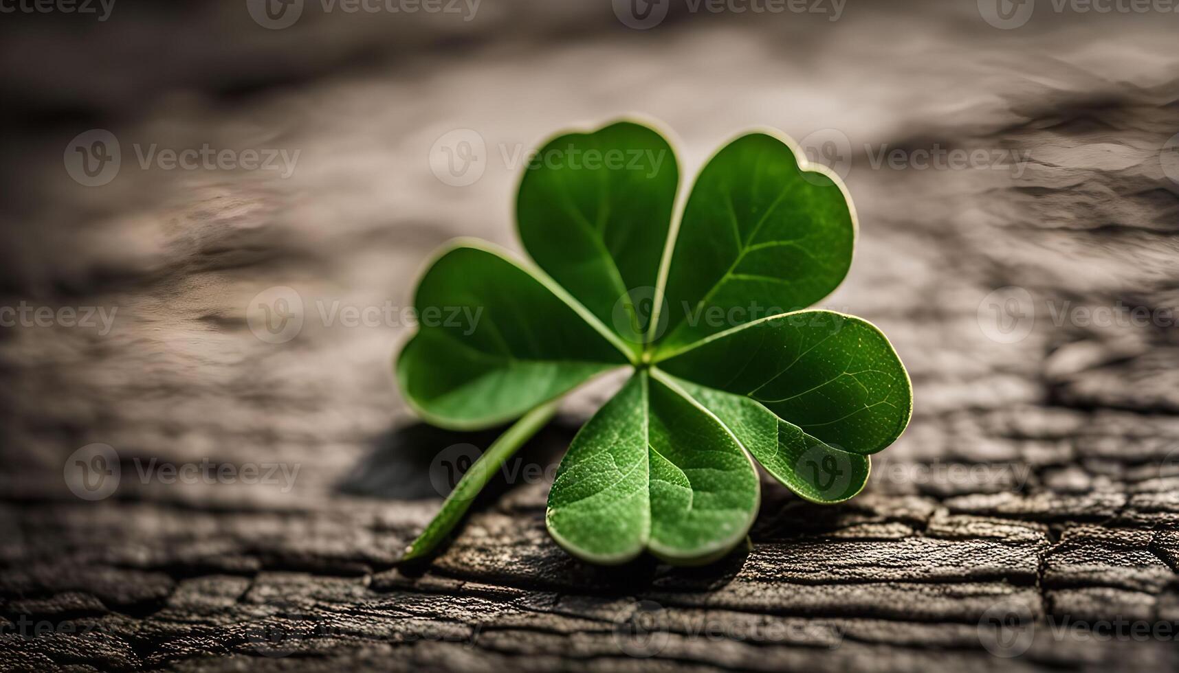 Four Leaf Clover on a Rustic Wooden Background photo