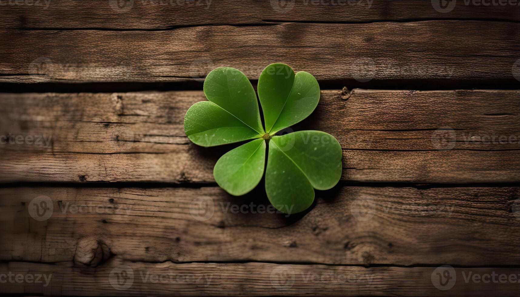 Four Leaf Clover on Rustic Wood photo