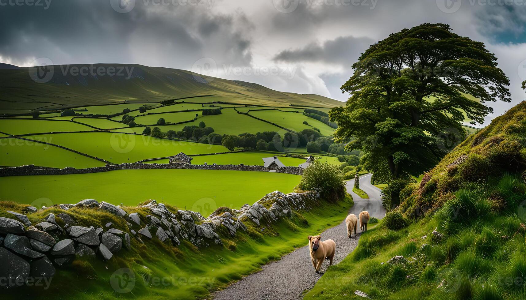 Countryside Pathway with Sheep and Rolling Hills photo
