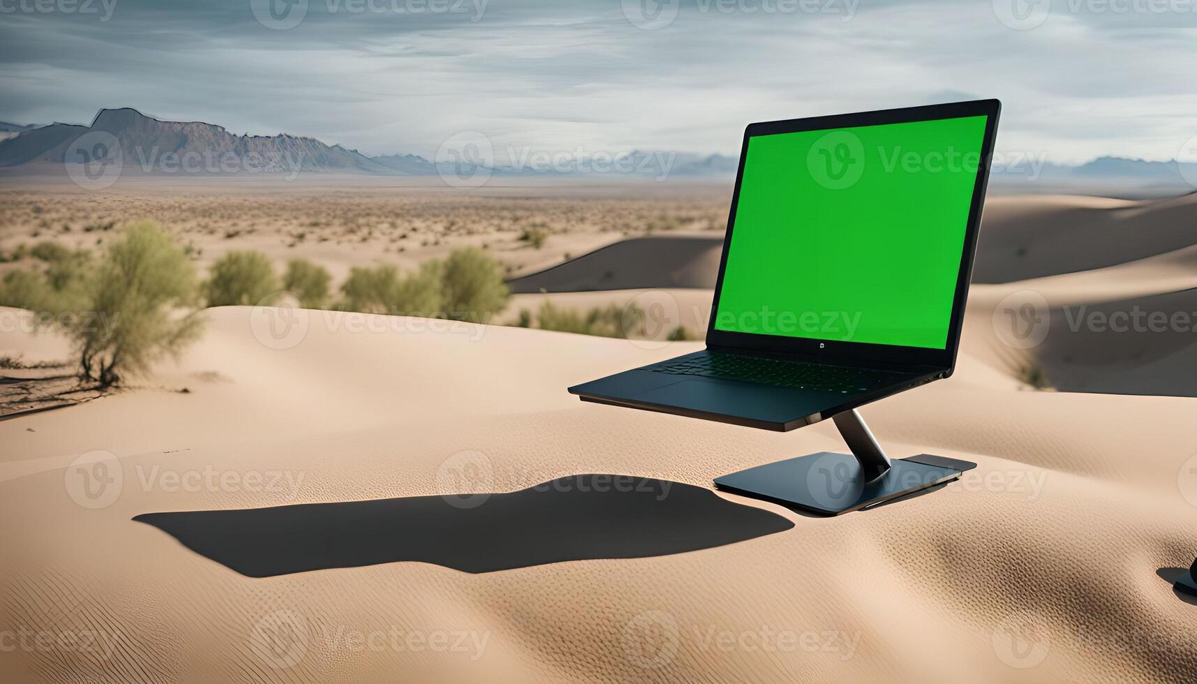 Laptop in Desert photo