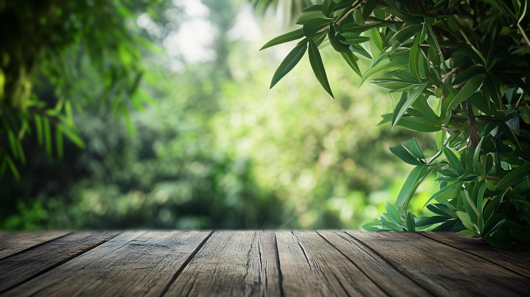 A wooded area with a view of a forest photo