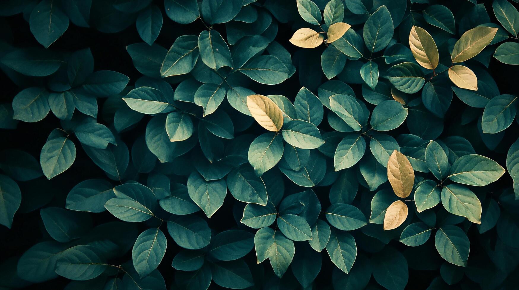A close up of green leaves with a yellow leaf in the middle photo