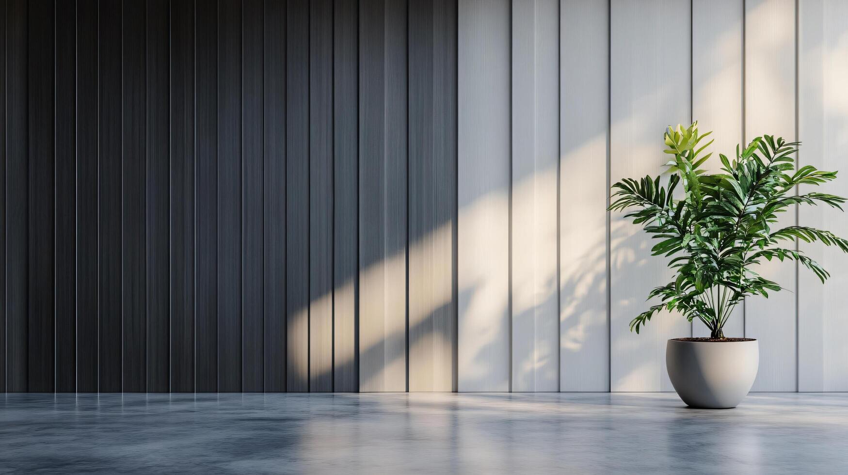 A white potted plant sits in front of a wall with a black stripe photo