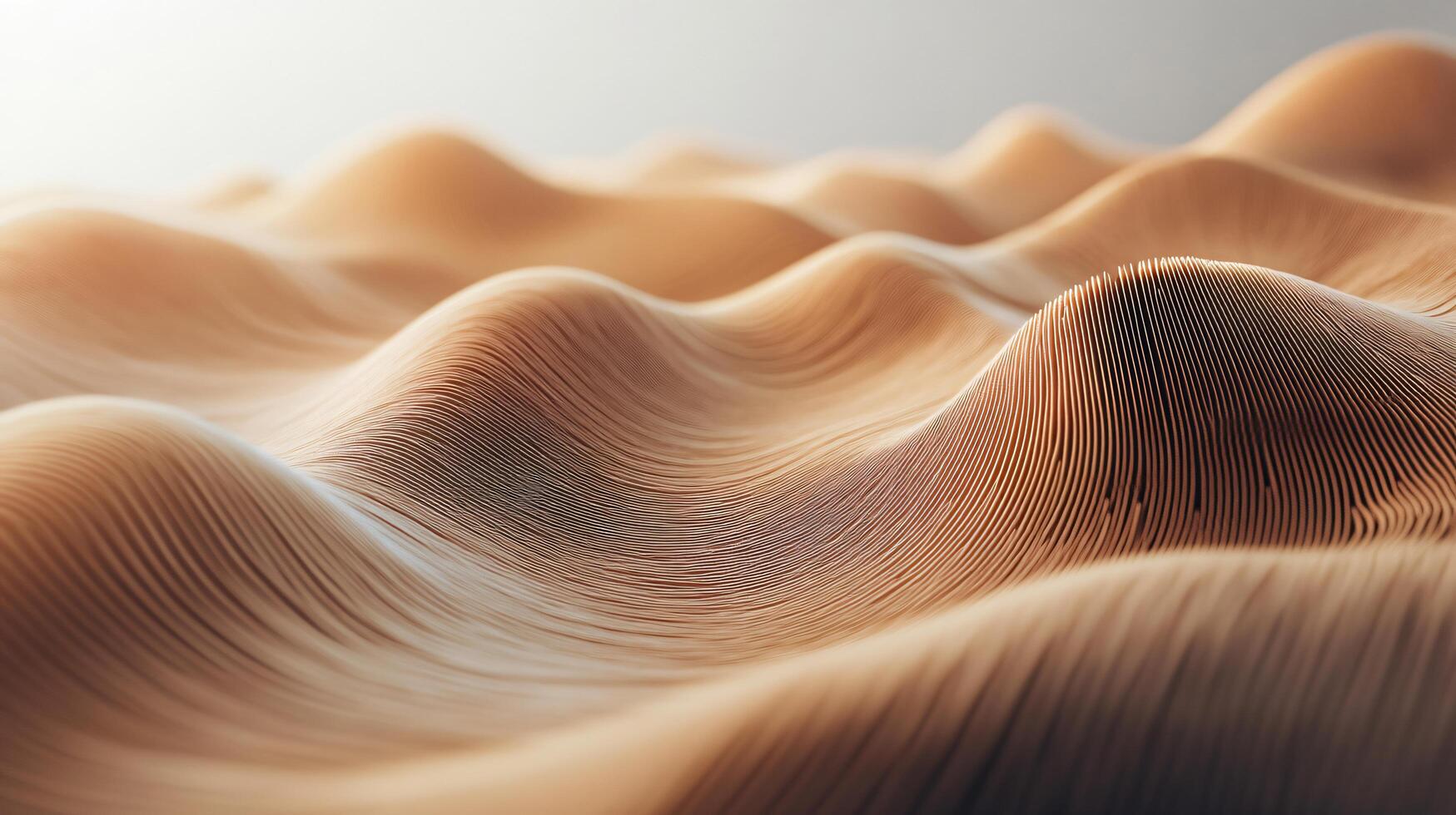 A sandy beach with a wave pattern photo