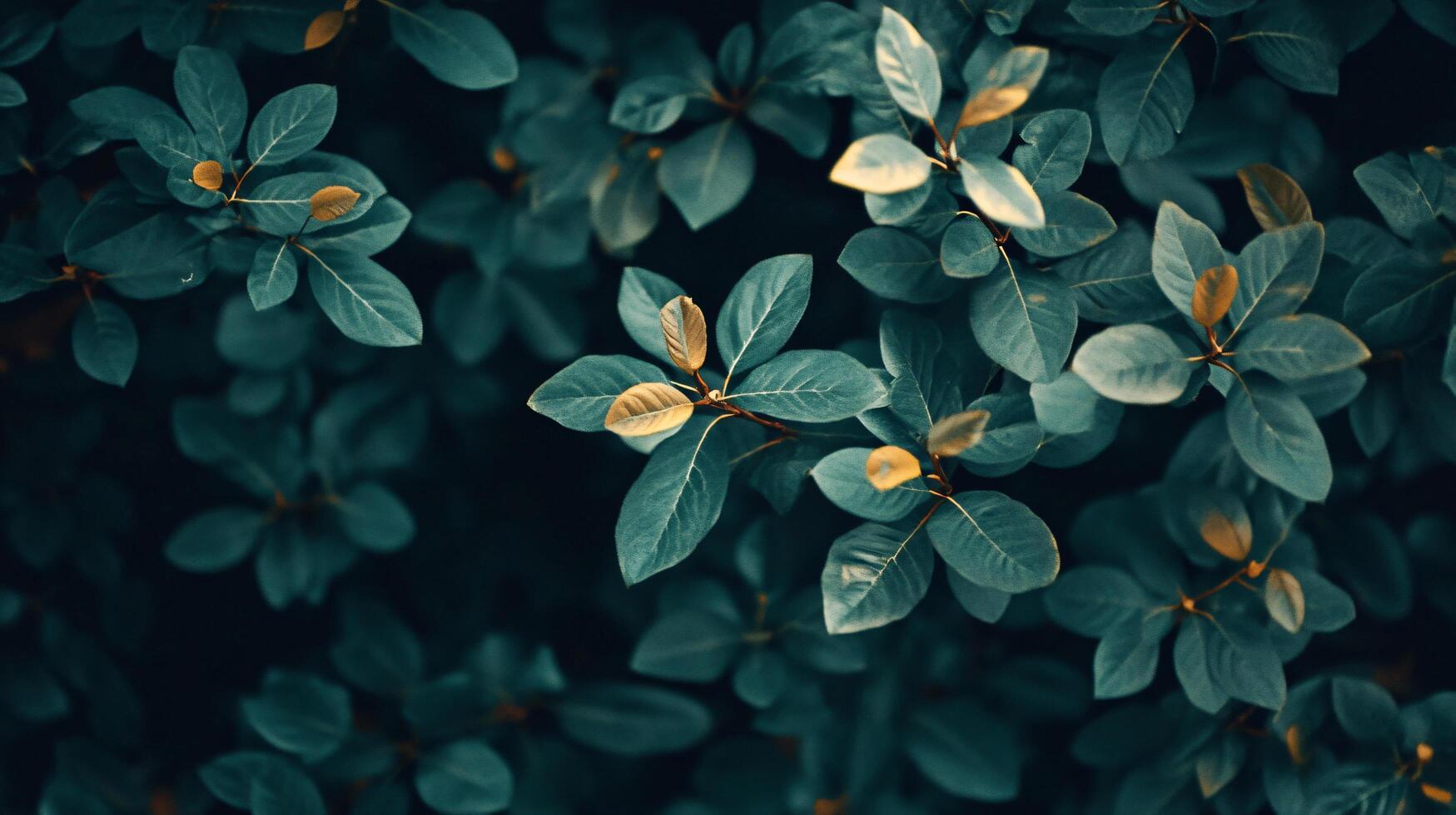 A close up of green leaves with a yellowish tint photo