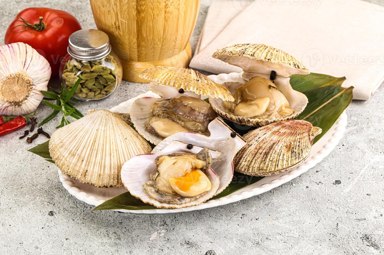 Raw fresh scallops in the shell photo