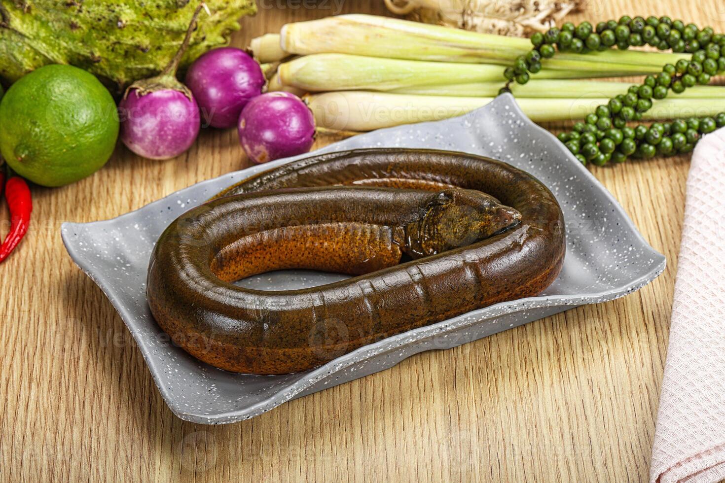 Fresh raw uncooked eel for grill photo
