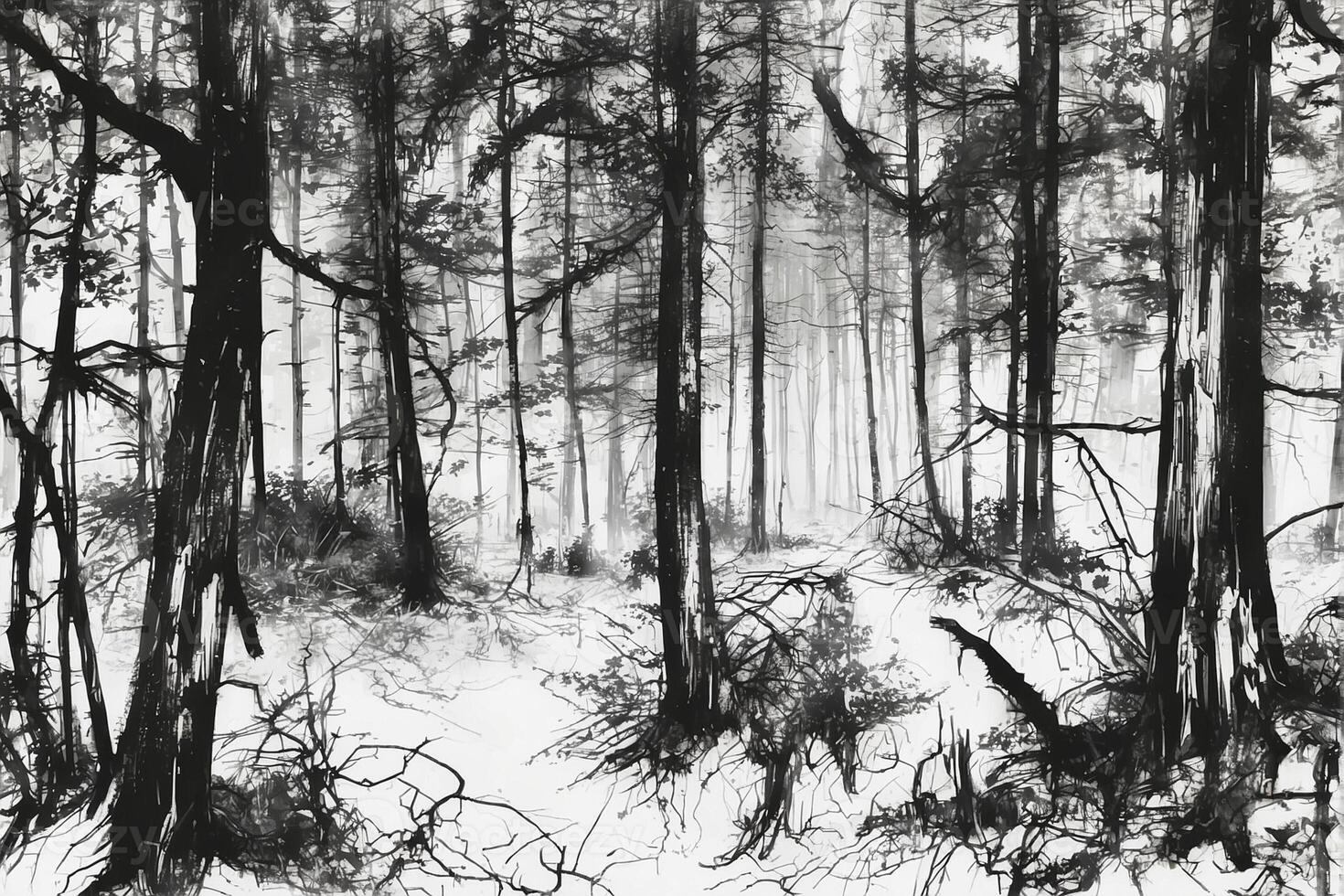 Black and white drawing of trees in the forest photo
