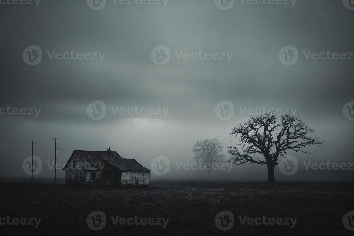A lonely house in the fog on a farm photo