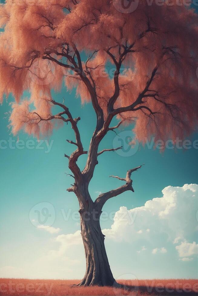 A tree in a field with a blue sky photo