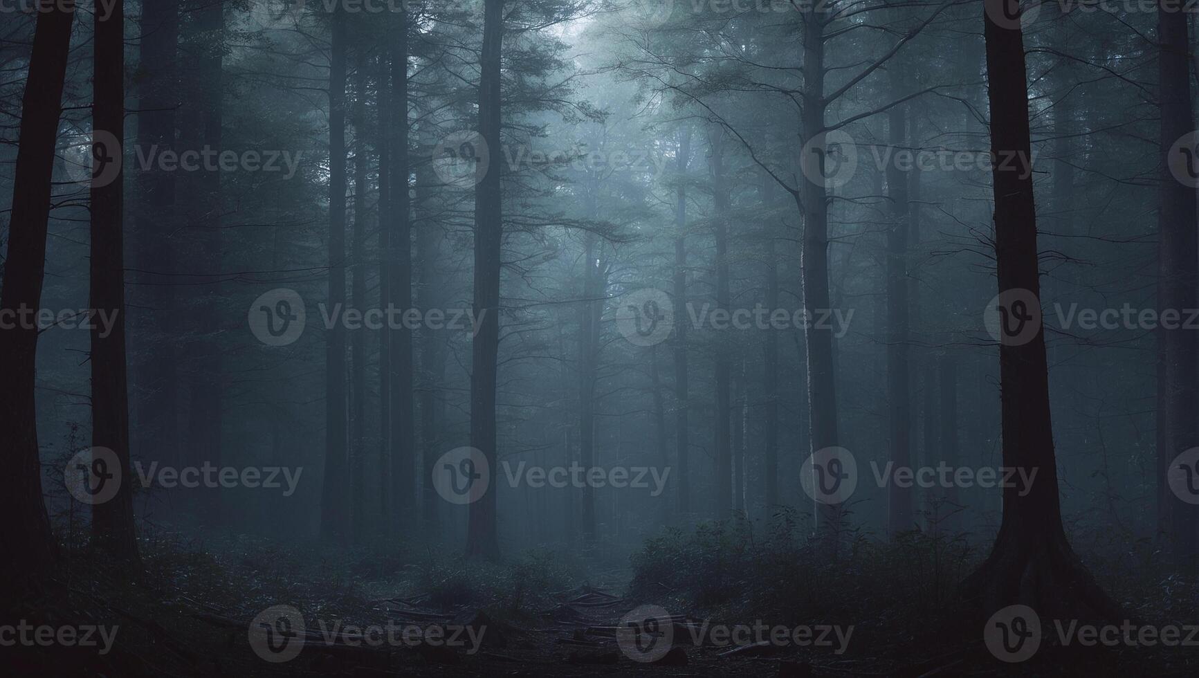 A dark forest with trees and fog photo