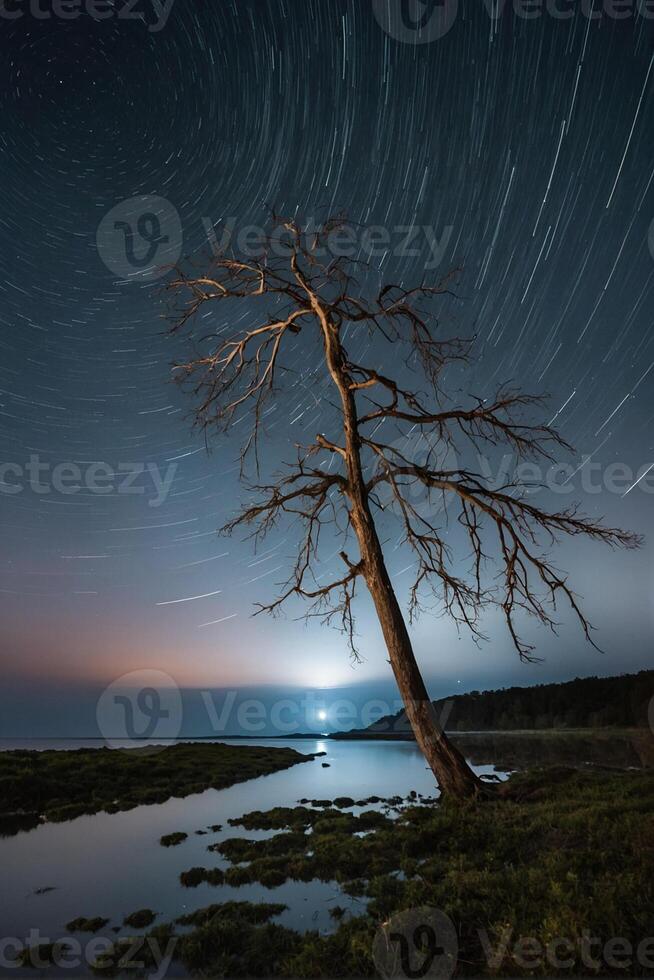 A lone tree stands in the middle of a lake at night photo