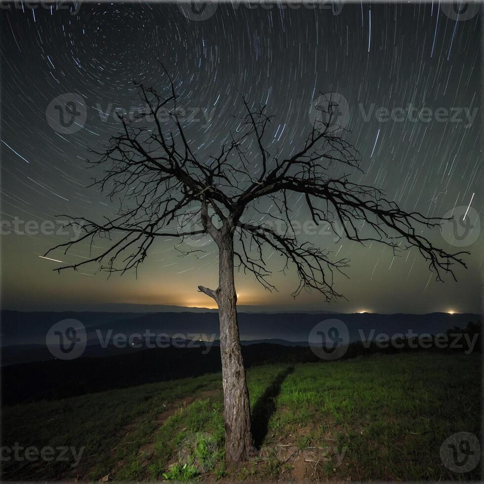 A tree stands alone in the middle of a field at night photo