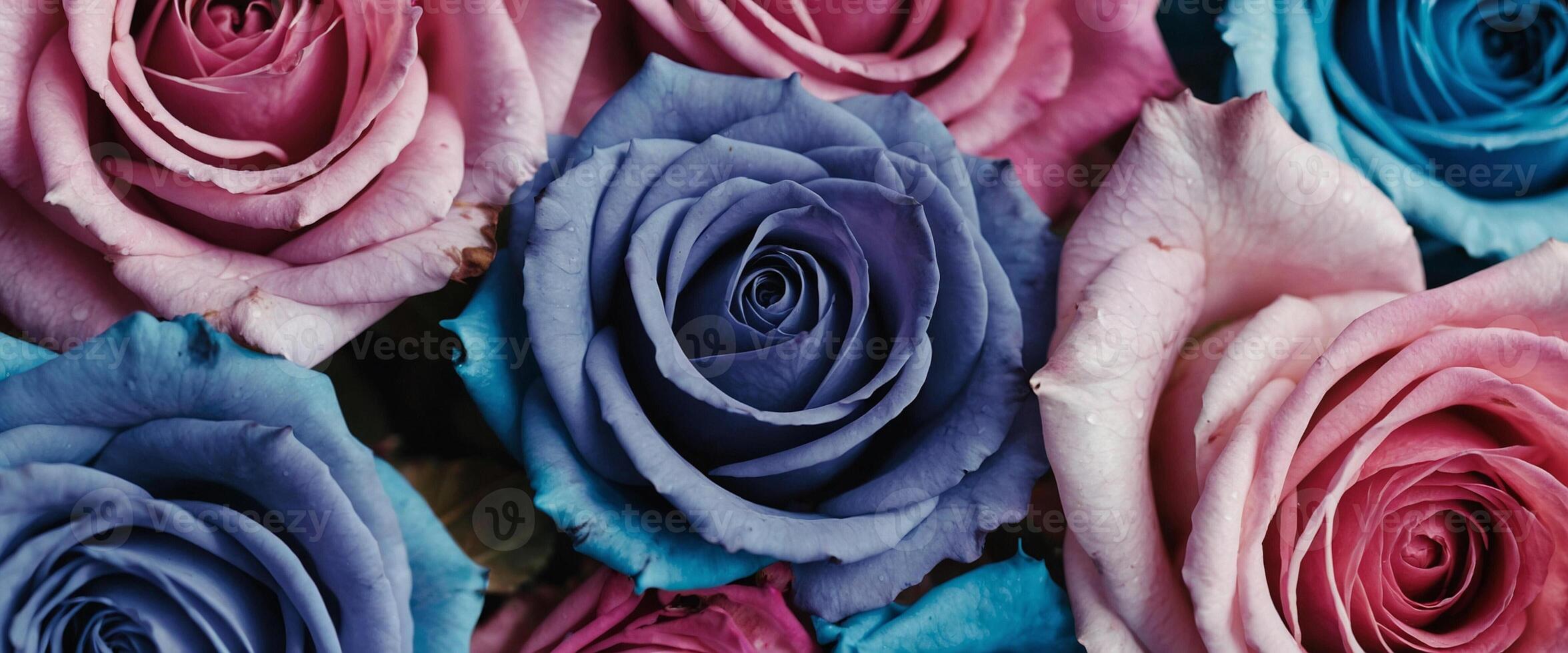 A close up of many different colored roses photo