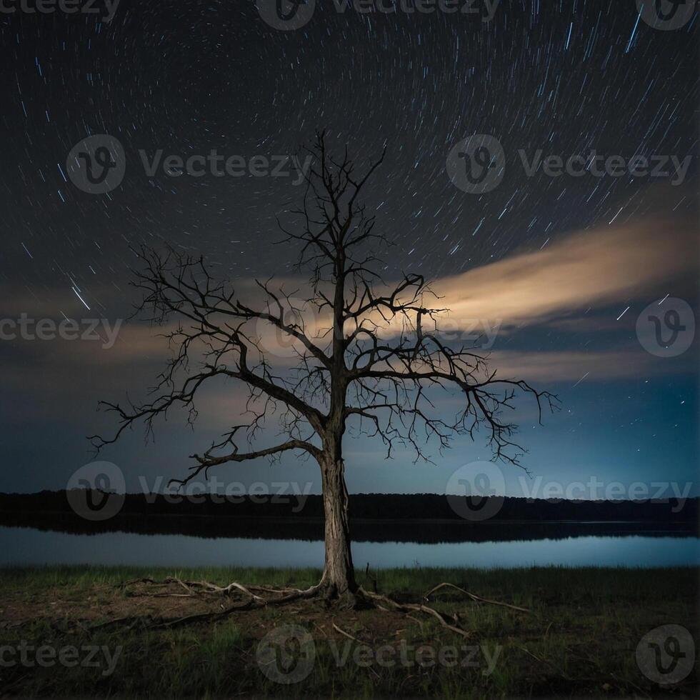 A tree stands alone in the middle of a field at night photo