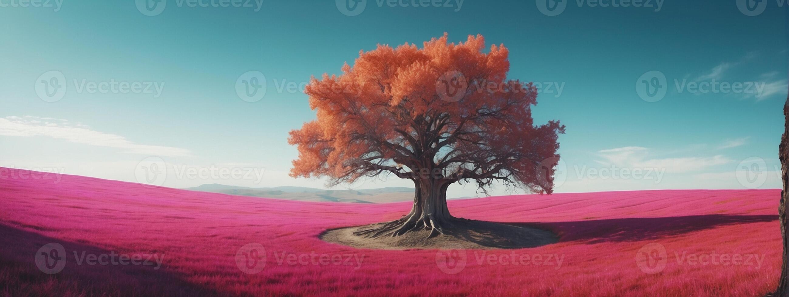 A tree in a pink field with a blue sky photo
