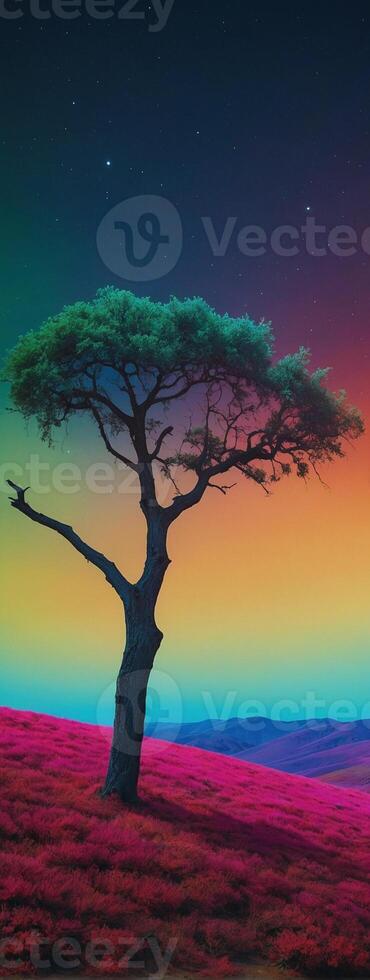 A tree stands alone in a field with a colorful sky photo