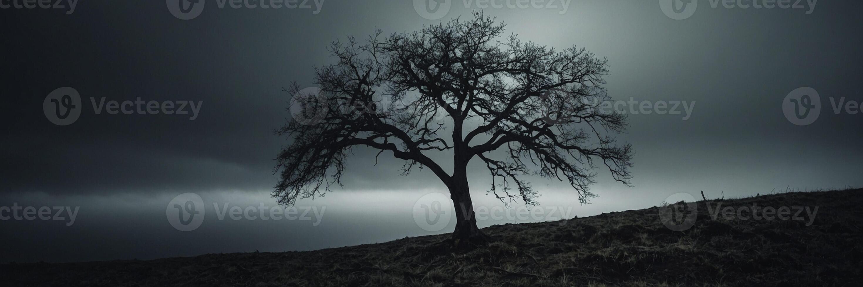 A lone tree stands on a hill under a dark sky photo