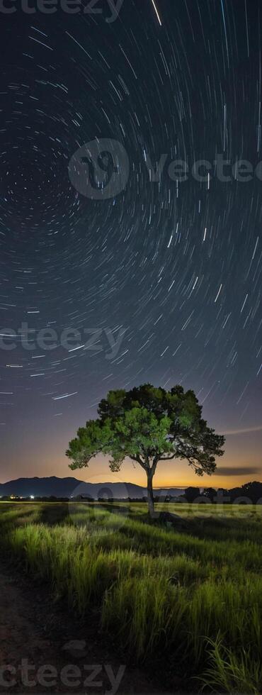 A lone tree in the middle of a field under a star trail photo