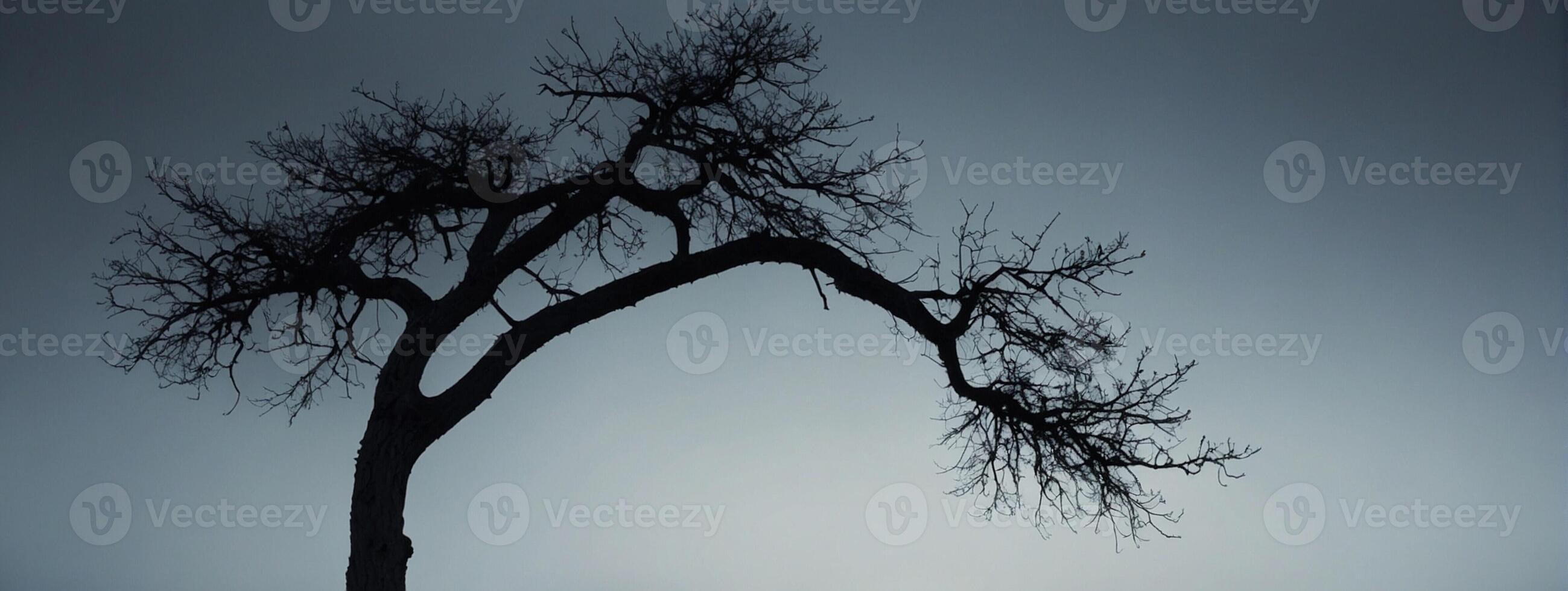 A lone tree stands in the middle of a field photo
