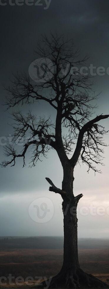 A lone tree stands in the middle of a field photo