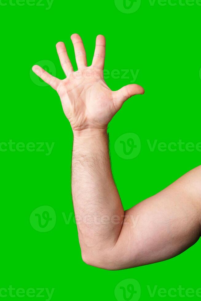 A raised hand against a vibrant green backdrop signaling for attention or greeting photo