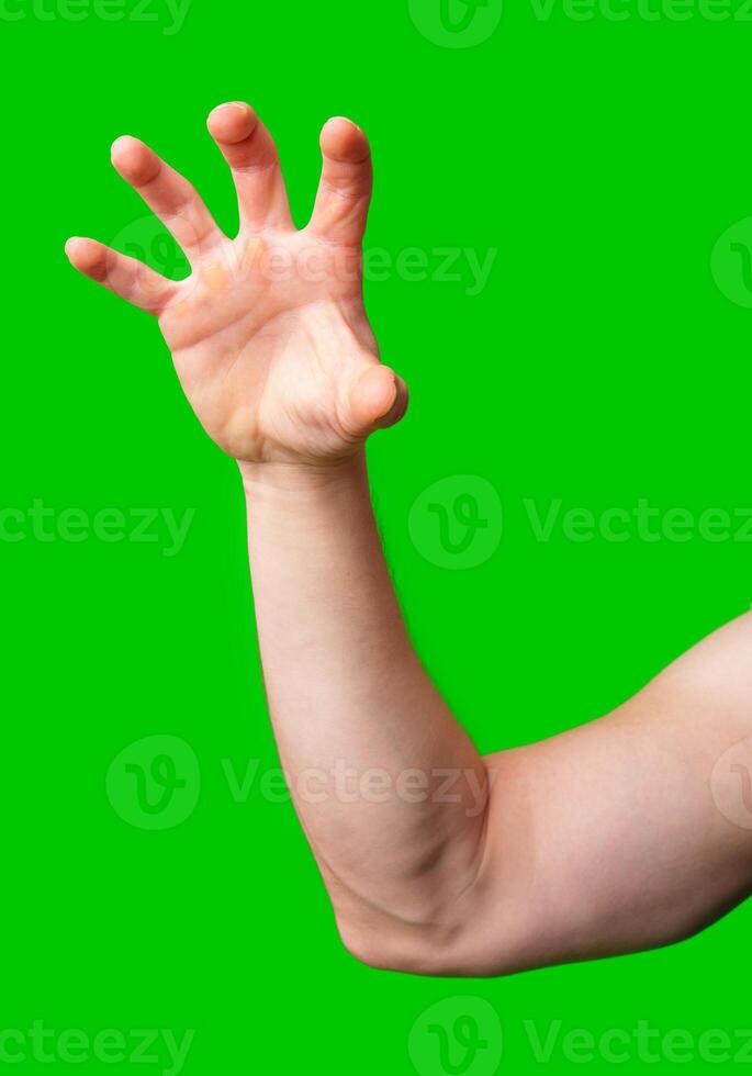 Hand raised against a vibrant green background photo