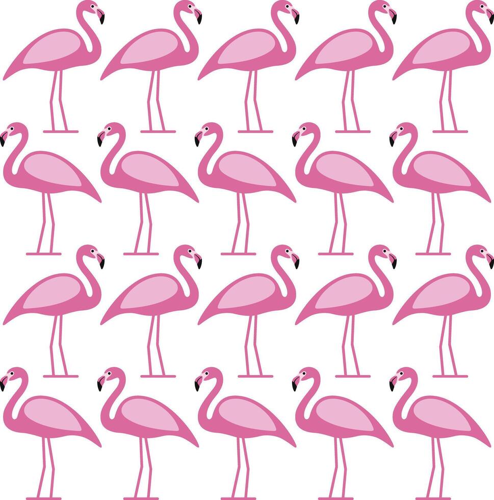 Beautiful flamingo standing in a row, bird series vector