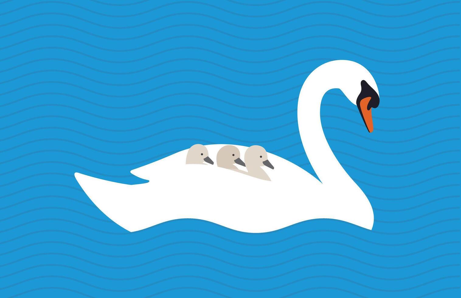 swan baby on the back of mother in the lake, illustration vector