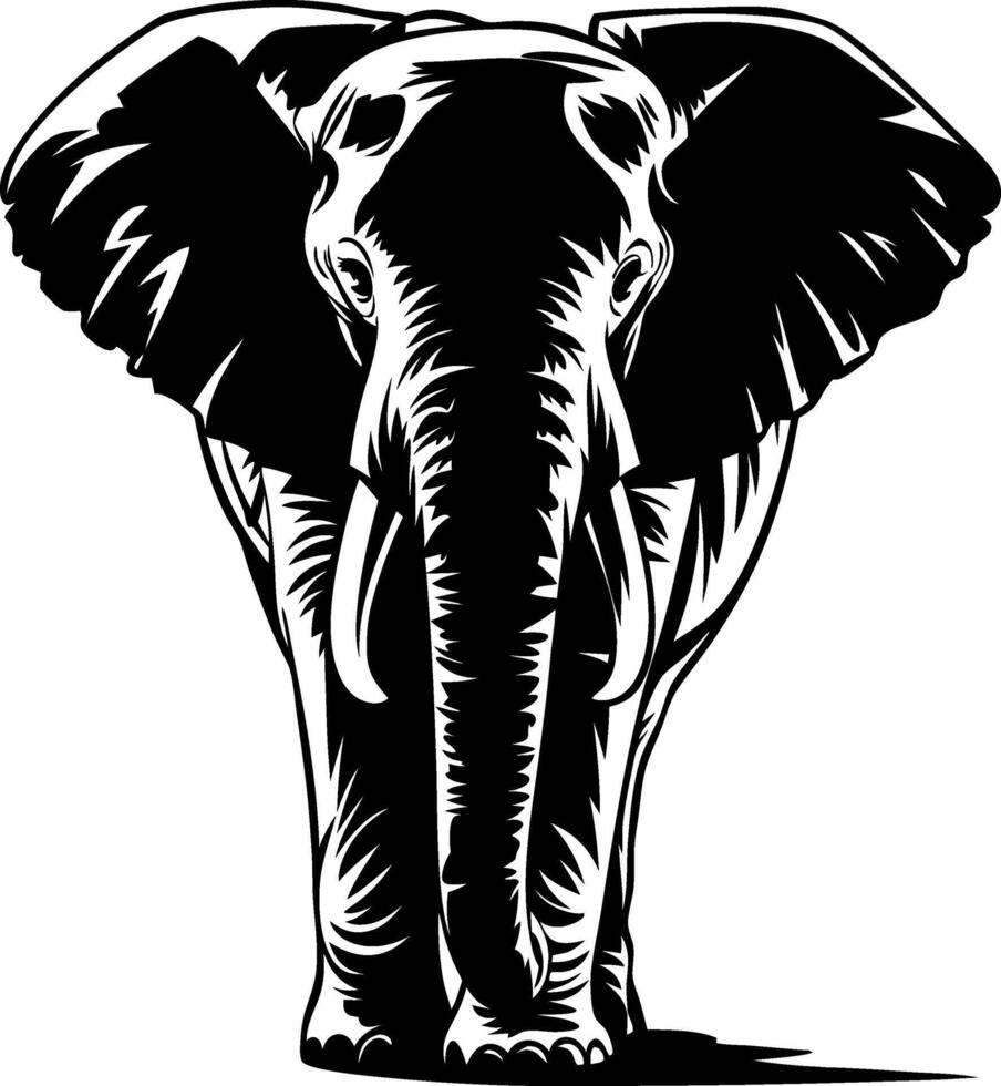 Elephant Front View Illustration for Art Prints and Graphic Design vector