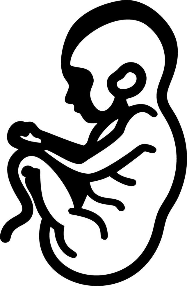 Human Fetus Embryo Illustration for Medical Education and Biology Projects vector