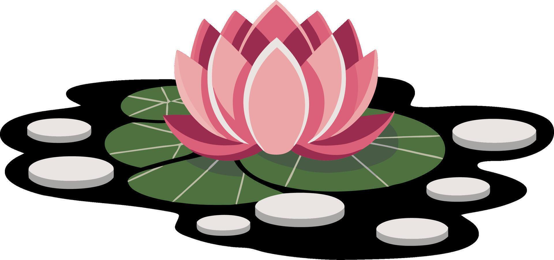 Pink Lotus Flower on Lily Pad with Stones Illustration for Meditation and Wellness vector