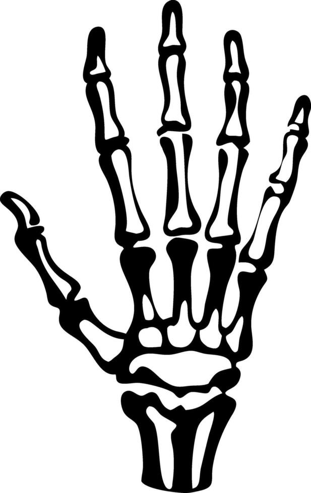 Skeleton Hand Bones Illustration for Medical and Halloween Design vector