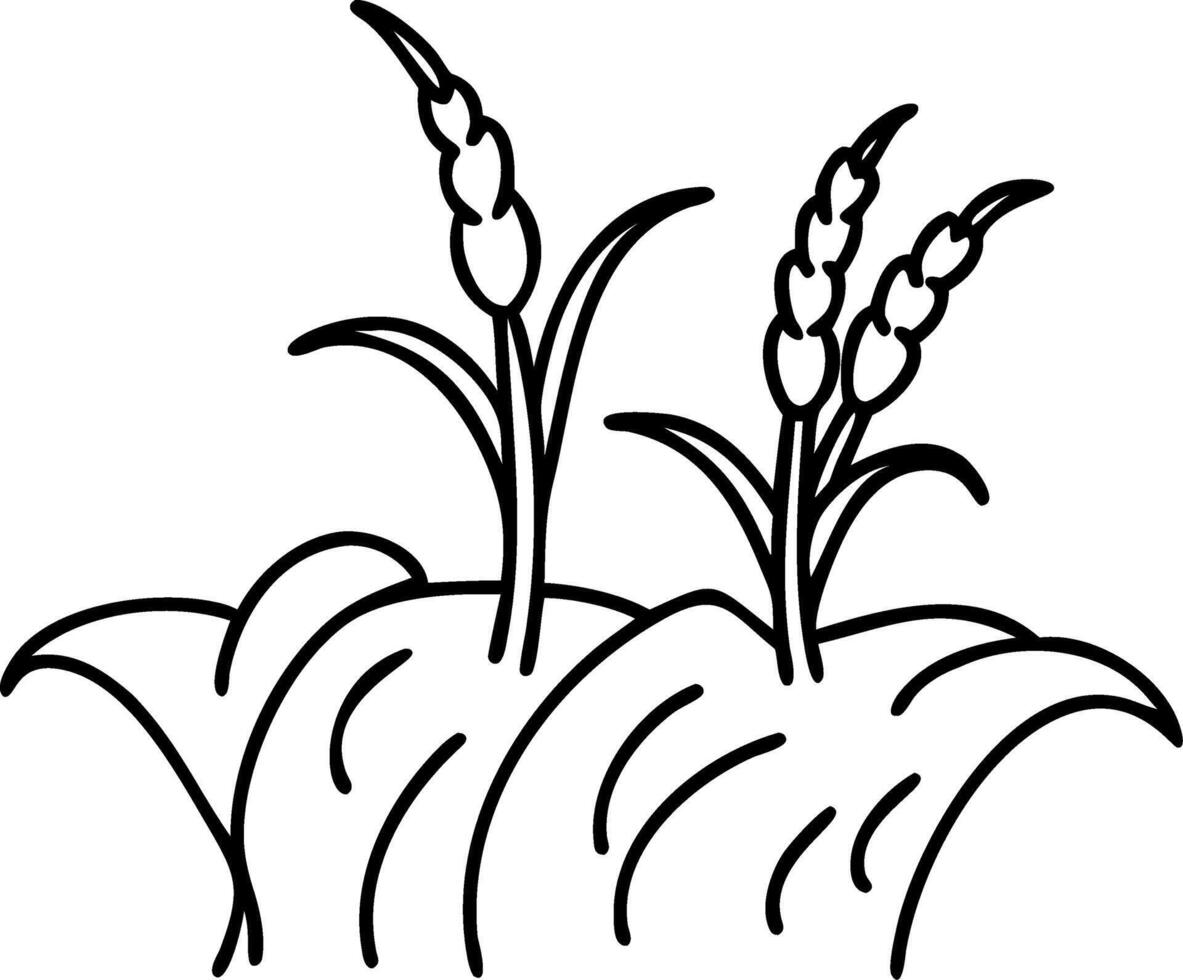 Wheat Field Illustration for Agriculture and Nature Designs vector