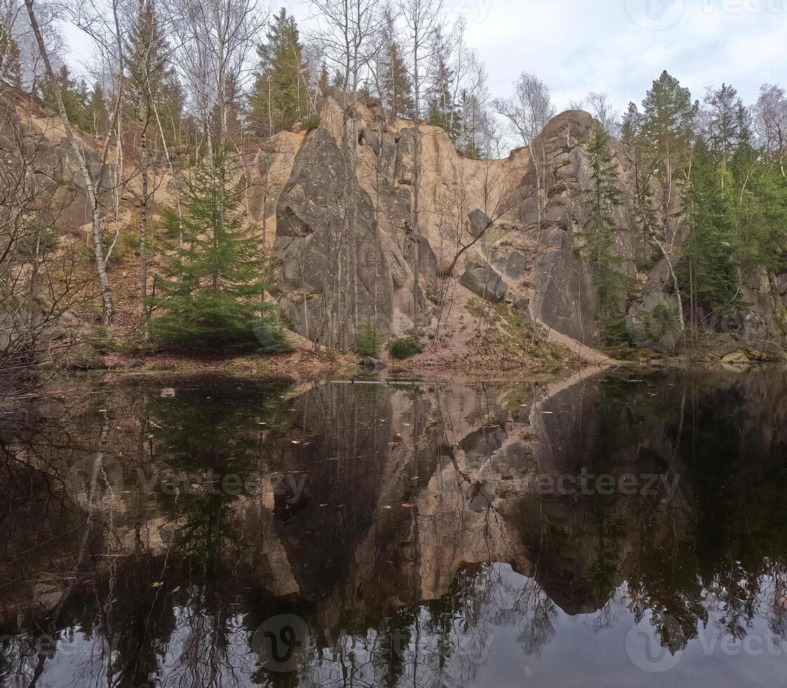 Spring mountain pine forest landscape. Poland, Rudawski Park Krajobrazowy photo