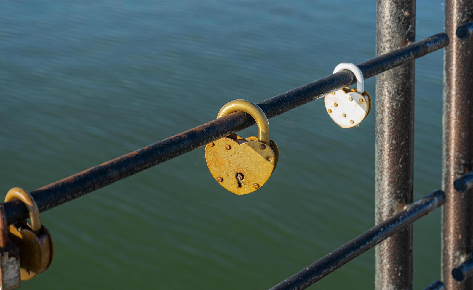 heart shape padlock on the fence of the bridge photo