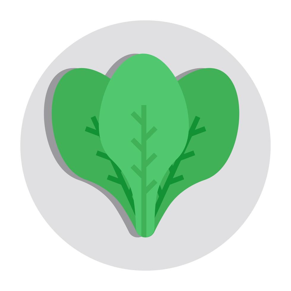 Modern design icon of spinach vector