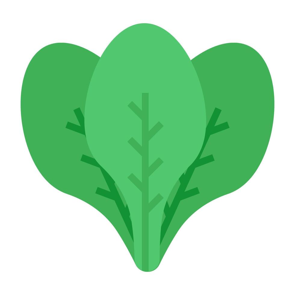 Modern design icon of spinach vector